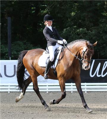 In Rastede gewann Lene Sofie Brandt vom Nordenhamer RC den Talentförderpreis. Sie entschied die Dressur der Klasse L für sich. Foto Böning