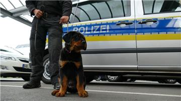 In rund einem Jahr beginnt für "Balou" die Ausbildung zum Polizeihund.