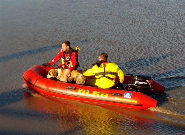 In Sicherheit: Mit einem Schlauchboot musste der Hund aus seiner misslichen Lage gerettet werden.