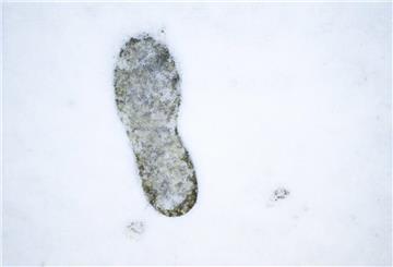  Ein einzelner Fußabdruck zeichnet sich in der nassen Schneedecke ab. 