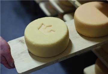 Wolfgang Thaler zeigt in der Käserei Brodowin einen Tilsiter Käse mit einem Krönchen, der speziell für den Besuch des britischen Königs hergestellt wurde.