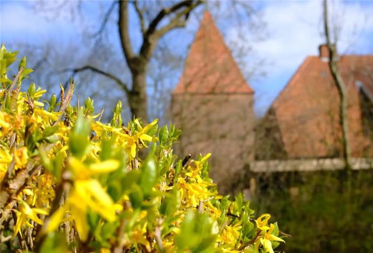 Wulsdorf, einfach sympathisch - Ein Dorf zum wohlfühlen! Buernhus.