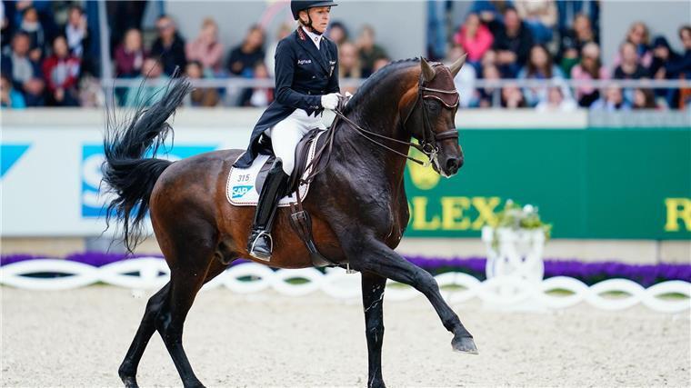 Dressur: Klimke fällt für Olympia aus Ingrid Klimke fällt für Olympia aus.