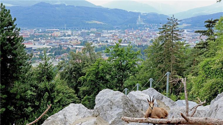 Innsbruck bewirbt sich als ESC-Bühne in den Alpen. (Archivbild)