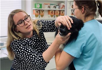 Insta-Tierärztin Linnea Schibalski, einer der Köpfe von @tierarzttipps, untersucht die Schleimhäute bei Aussi Hündin Dinah. Tierarzthelferin Johanna Burwinkel assistiert.