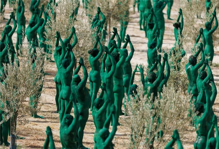 Kunstaktion mit Hunderten Nackten: Körperkunst im Olivenhain Intensives Grün: Spencer Tunicks erste Kunstinstallation in Andalusien.