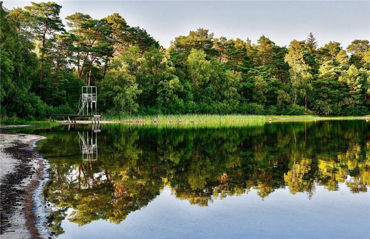 Experten überrascht: Erstmals Fische in diesem Rotenburger See Inzwischen nicht mehr nur bei Bade- und Naturfreunden gefragt: Der Große Bullensee bei Rotenburg.