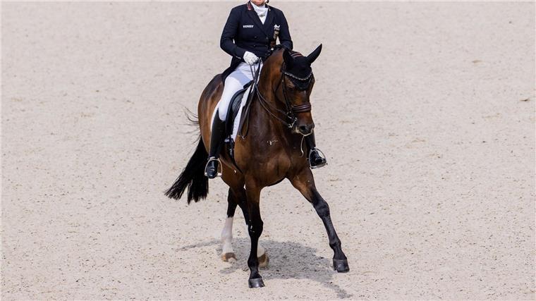 Isabell Werth, erfolgreichste Dressurreiterin der Welt, gewinnt den Grand Prix in der Frankfurter Festhalle. 