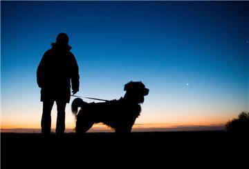 Eine Spaziergängerin und ihr Hund zeichnen sich vor dem Morgenhimmel ab