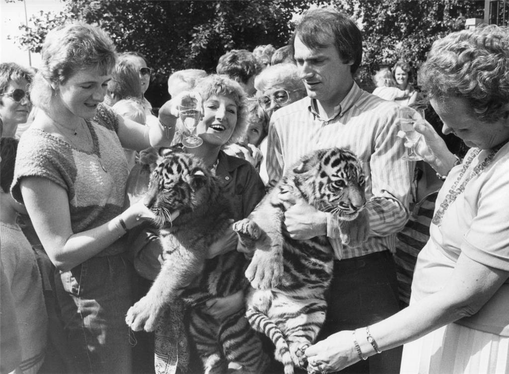 Ja, sogar Tiger hat es in den Tiergrotten gegeben. Zoodirektor Rüdiger Wandrey p...