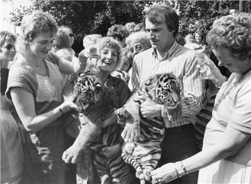 Ja, sogar Tiger hat es in den Tiergrotten gegeben. Zoodirektor Rüdiger Wandrey p...