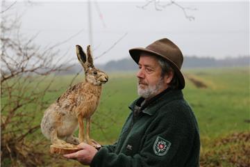 Jäger Hermann Kück mit einem Tierpräparat: Der Feldhase ist seit jeher im Cuxland heimisch. Nun ist seine Existenz in einigen Revieren bedroht.