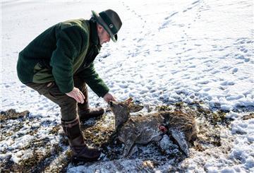 Jäger Lothar Häseker findet ein im Hochwasser verendetes Reh.