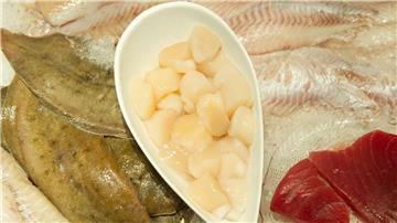Jakobsmuschelfleisch (M) liegt in Hannover in der Auslage.