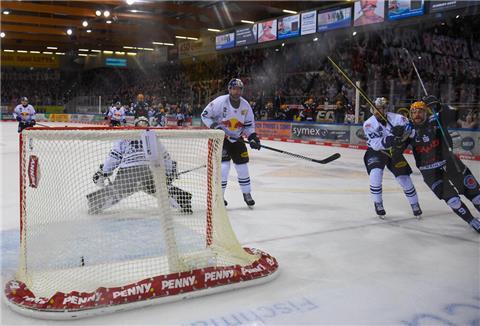 Jan Urbas erzielte das umjubelte Führungstor für die Fischtown Pinguins.