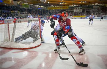 Jan Urbas erzielte für die  Fischtown Pinguins bereits 20 Saisonotore. 