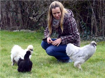 Janine Genet füttert ihre Seidenhühner mit ein bisschen Brot. Charakteristisch für diese Tiere ist ihr auffällig weiches Gefieder.