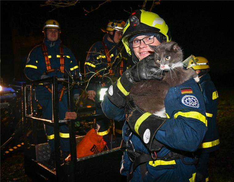 Jannes Suhrhoff vom THW hat mit seinen Kollegen Katze „Puschkin“ aus 11 Meter Höhe von einem Baum im Breslauer Weg gerettet. 