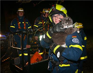 Jannes Suhrhoff vom THW hat mit seinen Kollegen Katze „Puschkin“ aus 11 Meter Höhe von einem Baum im Breslauer Weg gerettet. 