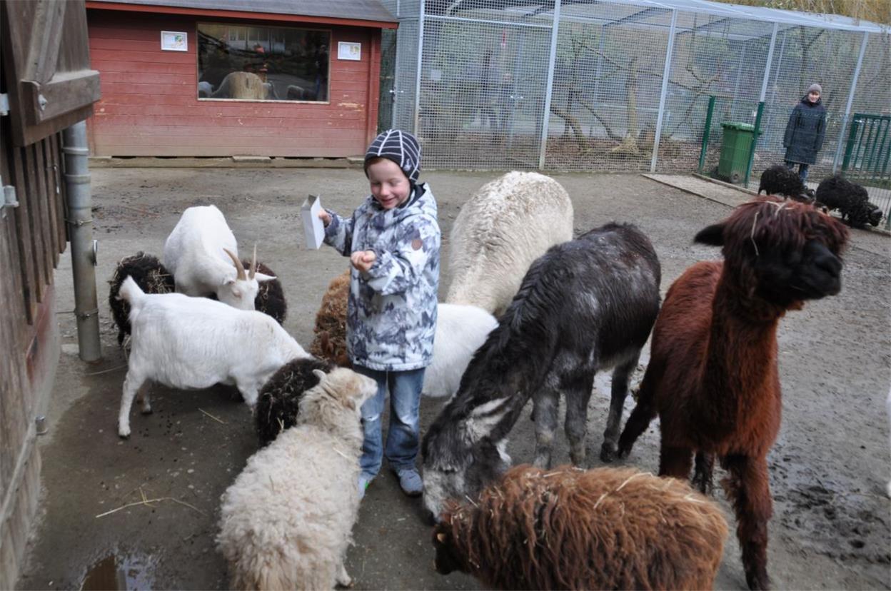 Frühlingserwachen im Zoo Wingst Jede Menge tierisches Vergnügen: Im Streichelzoo ist man schnell auf Tuchfühlung, so wie Noah (8) mit der Futtertüte.