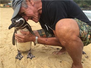 Jedes Jahr schwimmt Pinguin Dindim tausende Kilometer, um seinen Retter von einst,  Joao Pereira de Souza, zu besuchen.