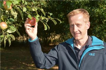 Jörg Benecke verarbeitet in der Börde Mosterei natürlich auch den Knebusch-Apfel zu Saft, der auf einigen Streuobstwiesen zu finden ist. Er pflückt sich aber auch gern mal eine rotbackige Frucht. 