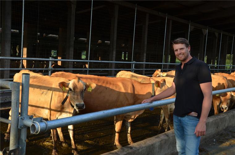 Joost Wopereis hat sein Herz an Jersey-Kühe verloren.