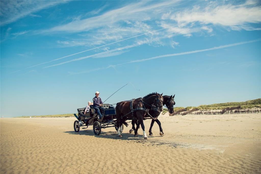 Juist ist schmal, mit 17 Kilometern besonders lang - und bietet damit auch viel Strand. Familien sind die größte Gästegruppe im Sommer. Rund drei Viertel der Urlauber übernachten nach Angaben der Kurverwaltung in Ferienwohnungen. Eine Besonderheit: Egal ob Lebensmittel, Möbel oder Baustoffe - den Transport übernehmen Pferdefuhrwerke. Das gilt sogar für die Müllabfuhr. Motorisiert sind nur die Feuerwehr, das Rote Kreuz und die beiden Ärzte, die Post hat ein Elektrofahrzeug. Umweltschutz wird auf Juist groß geschrieben, im vergangenen Jahr bekam die Insel den Deutschen Nachhaltigkeitspreis.