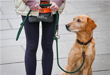 Eine Frau hat ihren Hund an einer Leine. Im Land Bremen ist der Hundeführerschein bald Pflicht. 