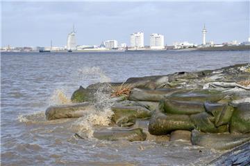 Kampf um den Offshore-Terminal in Bremerhaven: Der Senat will mit den Naturschützern in Verhandlungen treten.