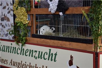 Kaninchen on Tour. Foto: Edel