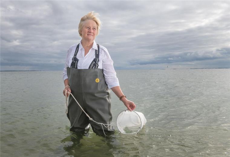 Karen Wiltshire, Stellvertretende Direktorin, Leitung AWI Helgoland und AWI Sylt.