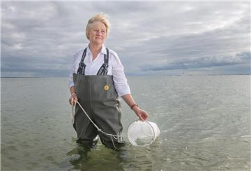Karen Wiltshire, Stellvertretende Direktorin, Leitung AWI Helgoland und AWI Sylt.