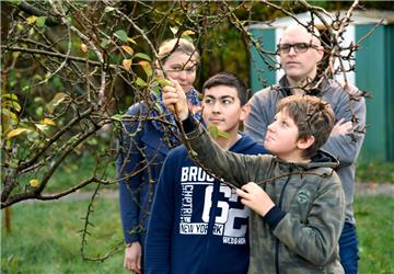 Keine einzige Birne mehr dran: Schulleiterin Meike Ehler, Joel und Naoar sowie Lehrer Konstantin Plump vor dem leeren Baum.