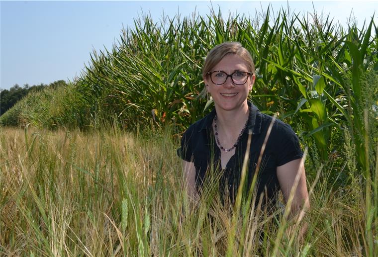 Marina Sancken wird Landvolk-Geschäftsführerin Kennt sich mit Gerste und Mais genauso gut aus wie mit den Feinheiten der EU-Förderung: Marina Sancken, die am 1. Oktober das Ruder im Landvolkhaus übernimmt. Foto Hansen