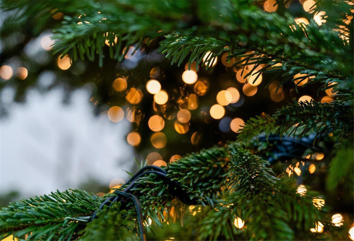 Hausratversicherung verweigert Zahlung nach Brand durch Wunderkerzen Tannenbaum mit Lichterkette