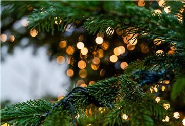 Tannenbaum mit Lichterkette