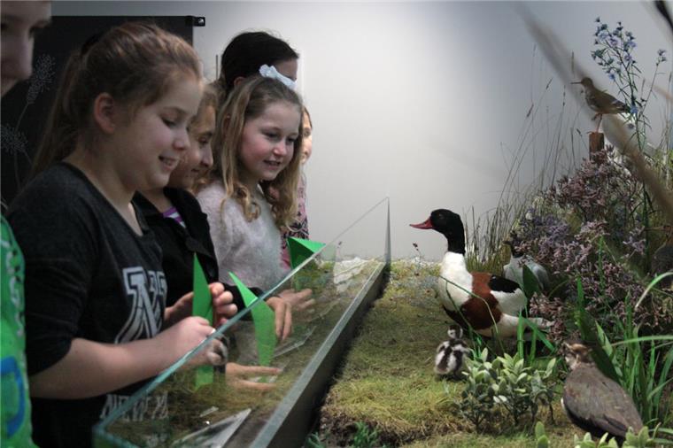 In Fedderwardersiel erleben Kinder das Museum mit allen Sinnen Kinder der Grundschule Blexen begutachten Vögel des Wattenmeeres. Eine Station im Museum beschäftigte sich speziell mit den Vögeln aus der Region.