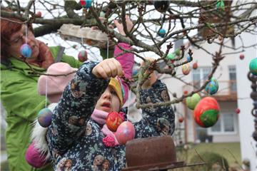 Kinder helfen dabei, die vielen bunten Ostereier in die Japanische Kirsche zu hängen. 