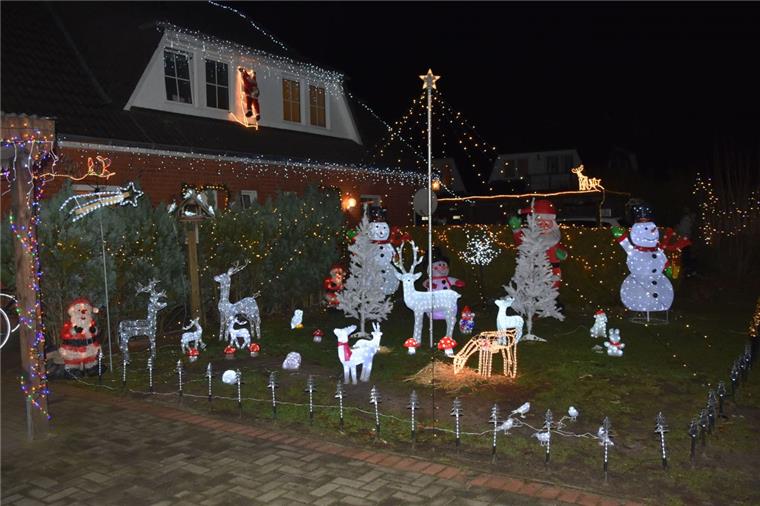 Lichtermeer in Sittensen: Rentier und Eule leuchten im Garten Kinderaugen leuchten, wenn sie die Figuren bei Quints im Garten sehen.