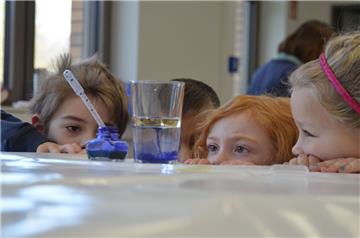 Kita-Kinder und Erstklässler experimentieren im Rahmen des „Brücken-Projekts“ an der Aue-Mehde-Grundschule Zeven zusammen. 