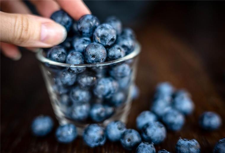 Klein, blau, erfolgreich als Snack: die Heidelbeere. Sie boomt immer noch. (Archivfoto)