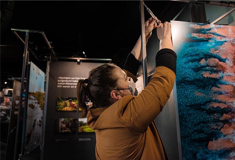 Klimahaus-Mitarbeiterin Imke Wendt bereitet Teile der Sonderausstellung „Nordsee |Südsee – Zwei Welten im Wandel“ vor. 