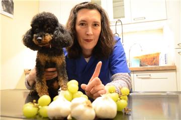 Knoblauch und Weintrauben – zwei Beispiele für Lebensmittel, die Hunde auf keinen Fall zu futtern bekommen dürfen, warnt Dr. Tatjana Rusch. Hier ist die Tierärztin mit ihrem Hund Löckchen zu sehen.  