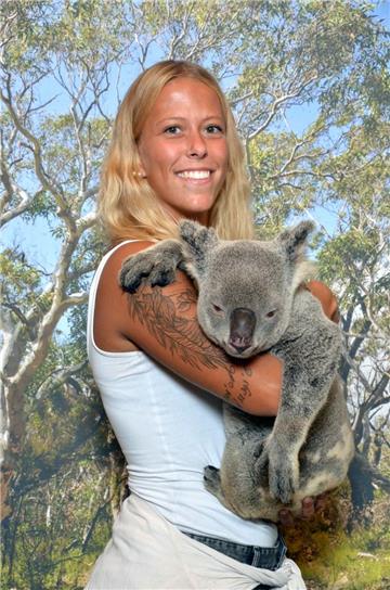 Koalas gehören in Australien zu den wenigen Tieren, die nicht als gefährlich gelten. 