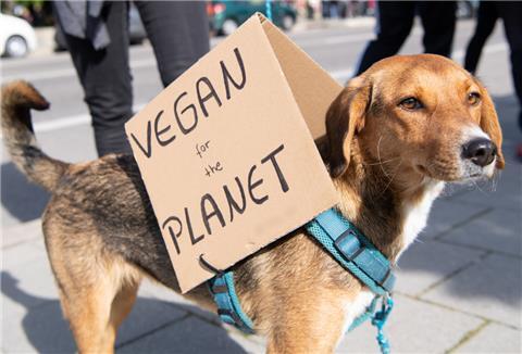 Können Hunde auch ohne fleischhaltige Nahrung auskommen?