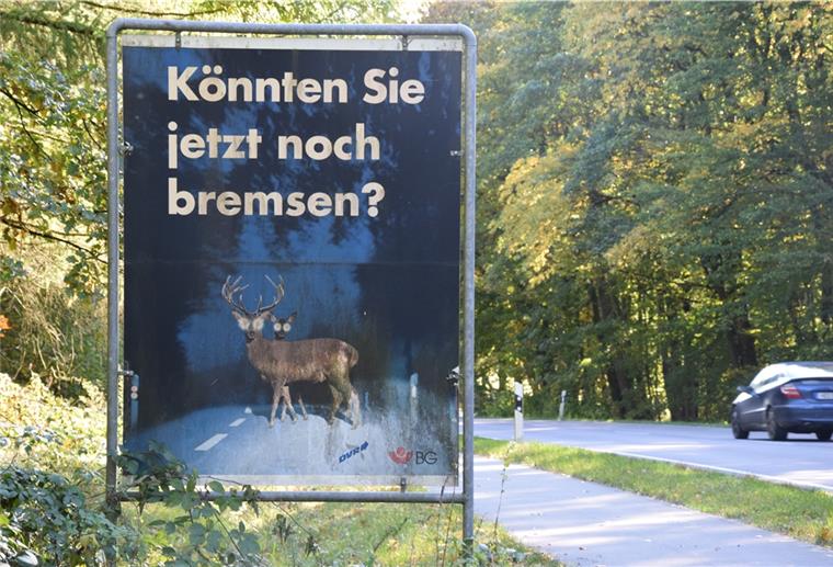 "Könnten Sie jetzt noch bremsen?": Wer auf der B 71 bei Wehldorf unterwegs ist, der kennt dieses Schild, das am Rande eines Waldgebietes steht und Autofahrer in dem unübersichtlichen Kurvenbereich vor Wildwechseln warnt.