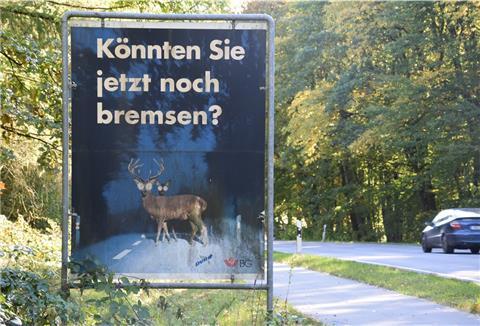 "Könnten Sie jetzt noch bremsen?": Wer auf der B 71 bei Wehldorf unterwegs ist, der kennt dieses Schild, das am Rande eines Waldgebietes steht und Autofahrer in dem unübersichtlichen Kurvenbereich vor Wildwechseln warnt.