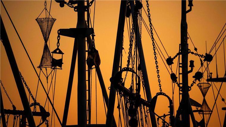Küstenländer kritisieren geplante Kürzung bei der Fischerei Krabbenkutter liegen bei Sonnenuntergang im Hafen.
