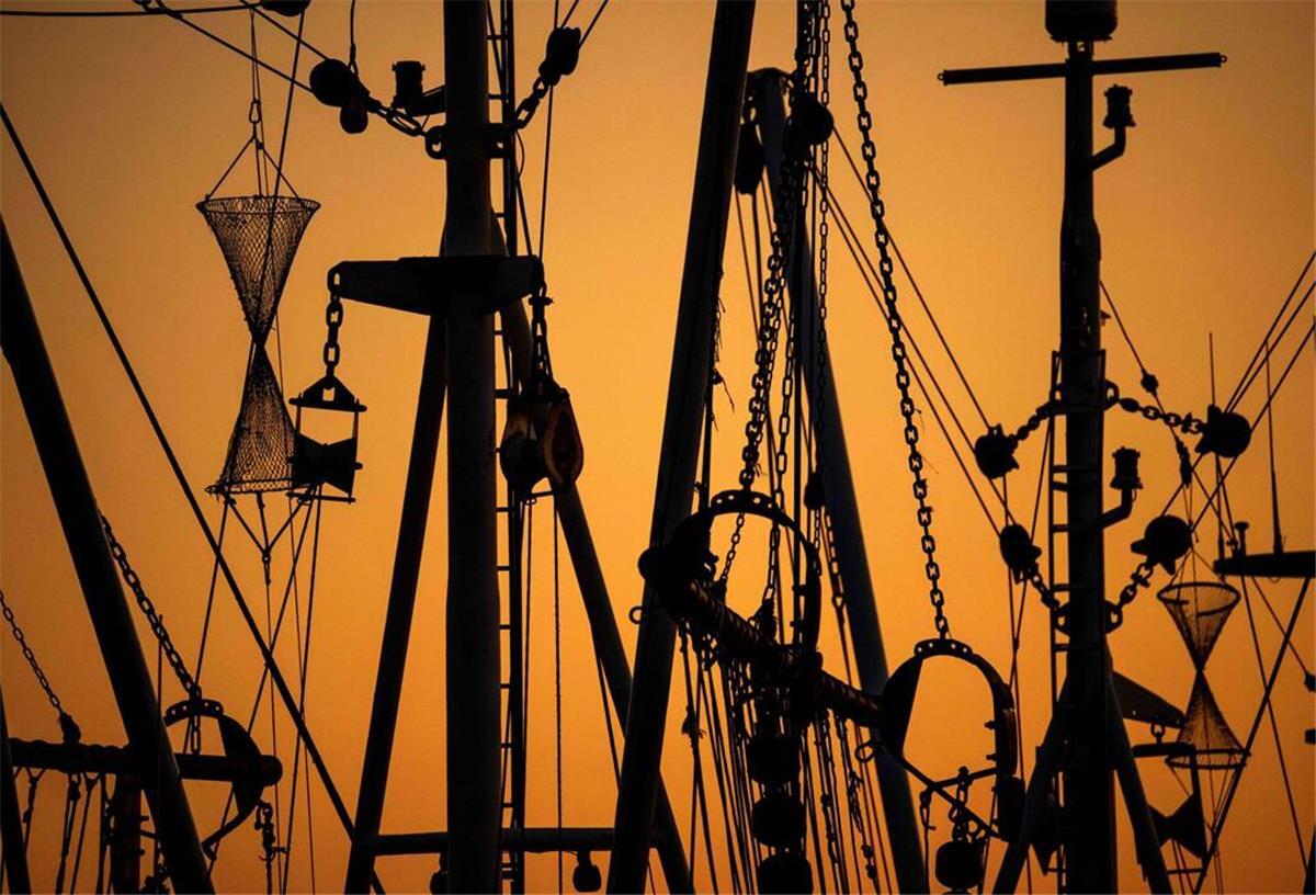 Küstenländer kritisieren Bundesregierung wegen Kürzungen in der Fischerei Krabbenkutter liegen bei Sonnenuntergang im Hafen.